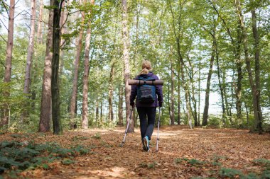 Sırt çantası ve yürüyüş direkleriyle orman yolunda tek başına yürüyen bir gezgin.