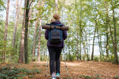 Sırt çantalı bir kadın yürüyüş direkleri ve etkin bir yaşam tarzıyla ormanda yürüyor.