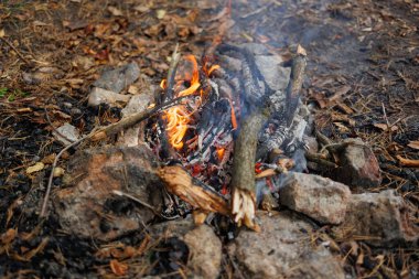 Orman kamp alanında yakılan odun ve taşlarla kamp ateşi.
