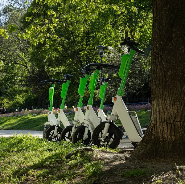 six green electric scooters in the park under a tree on the grass. Mobility electric transport in the city.