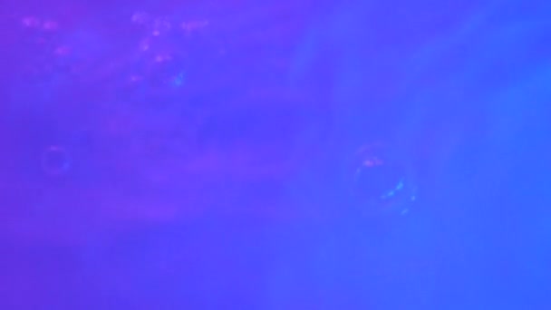 Neon Blue Pink Purple Water Gradient Texture Drops Splashes Waves — 图库视频影像