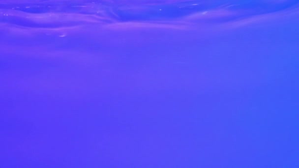 Neon Blue Pink Purple Water Gradient Texture Drops Splashes Waves — Stock videók