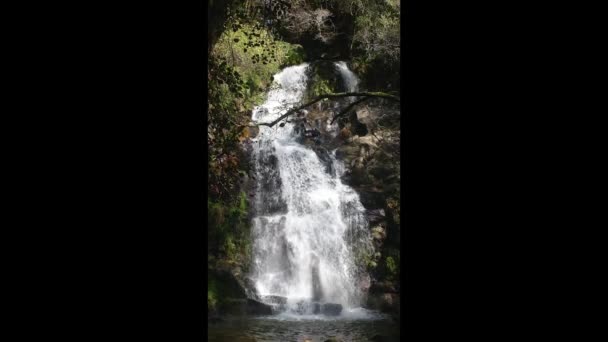 Una Vista Una Hermosa Cascada Agua Completa Las Laderas Las — Vídeo de stock