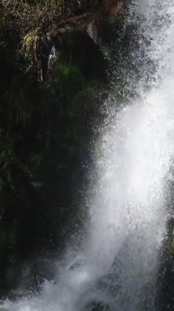 Вид Красивого Полноводного Водопада Склонах Гор Окруженных Лесом Slow Motion — стоковое видео