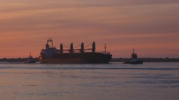 Aveiro Portugal 2022 Två Bogserbåtar Eskorterar Ett Lastfartyg Genom Engelska — Stockvideo