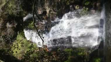 Dağların yamaçlarında, Cabreia Waterfall 'un ağır çekim HD videosuyla çevrili güzel bir şelale manzarası. Dikey video pankartı.