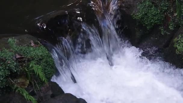 森に囲まれた山々の斜面に美しいフルウォーターの小さな滝の眺めカベリアの滝のスローモーションフルHdビデオ 自然ビデオバナー — ストック動画