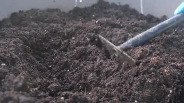Ogrodnik Poluzuje Glebę Dużym Garnku Ulicy Pomocą Narzędzi Ogrodowych Koncepcja — Wideo stockowe