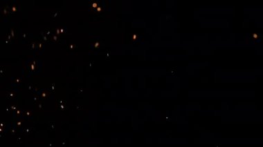 Siyah arka planda izole edilmiş yangın kıvılcımları yükseliyor. 4K çözünürlük yavaş çekim video ateşli turuncu parlayan kor yanan kül parçacıkları
