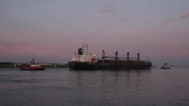 葡萄牙阿韦罗 2022年11月27日 两艘拖船在黄昏时分护送一艘货船通过葡萄牙阿韦罗大西洋海峡 — 图库视频影像