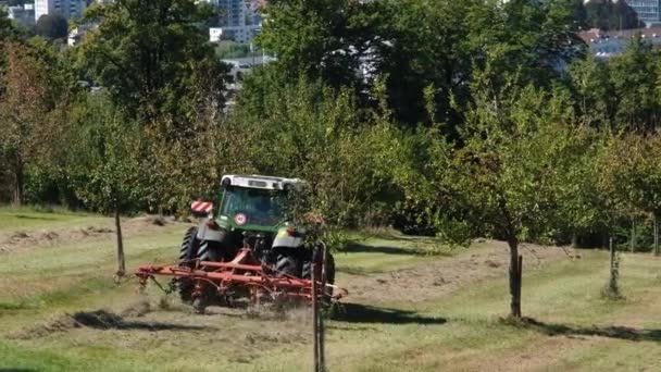View Tractor Turns Hay Hillside Apple Garden Switzerland Organic Farming — Stock Video