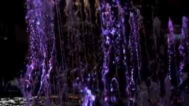 Renkli su fıskiyesi dans gösterisine lazer ışığıyla yaklaş. Mor, mavi ve mor renkli fıskiyelerle dans eden fıskiye ağır çekimde HD video çekiyor.