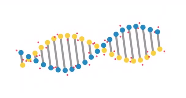 白色背景下无缝隙循环的抽象Dna片段的动画化 科学动画遗传信息的概念设计 旋转的Dna 4K分辨率 — 图库视频影像