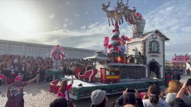 Estarreja Portugal 2023 Традиційний Зимовий Щорічний Карнавал Estarreja Samba Португалія — стокове відео