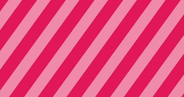 Бесшовная Петля Абстрактная Полосатая Анимация Разрешение Розово Белая Линия Swipe — стоковое видео