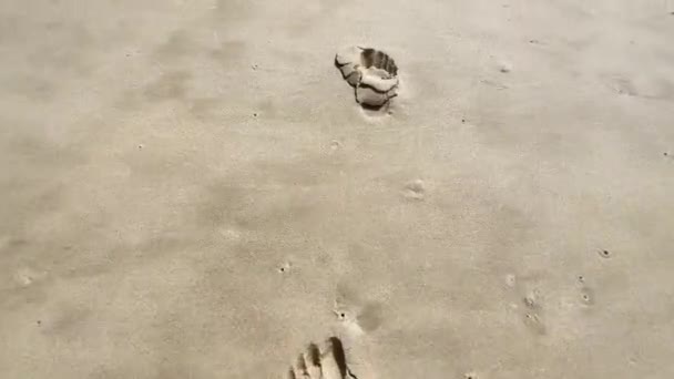 Voetafdrukken Het Zand Het Strand Camera Volgt Voetafdrukken Een Grote — Stockvideo