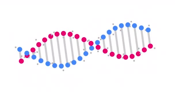 Animation Abstract Dna Fragment Seamless Loop White Background Conceptual Design — Stockvideo