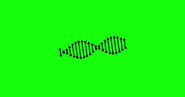 Siyah arka planda kusursuz döngüsü olan soyut DNA parçasının animasyonu. Bilimsel animasyon için genetik bilginin kavramsal tasarımı. Dönen DNA. 4K çözünürlük DNA yükleyici.