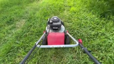 Veiros, Portekiz - 11.05.2023: Bir bahçıvan çimleri eski bir benzin çim biçme makinesiyle biçiyor. Bir çim biçme makinesi uzun, parlak yeşil çimenleri keser.