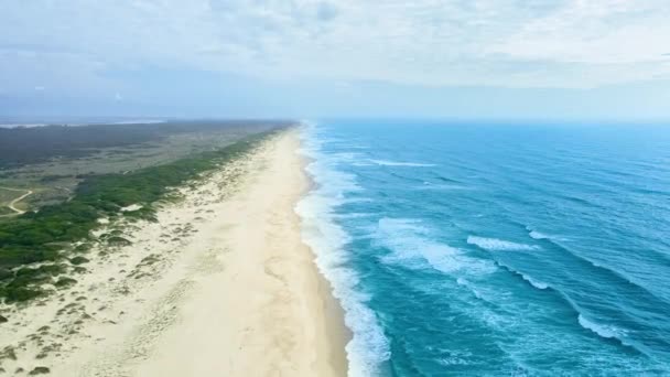 大西洋 砂丘のある空の砂浜の美しいドローンビュー 大西洋 青い空 海岸線 緑の砂丘 4K解像度ビーチビデオ — ストック動画