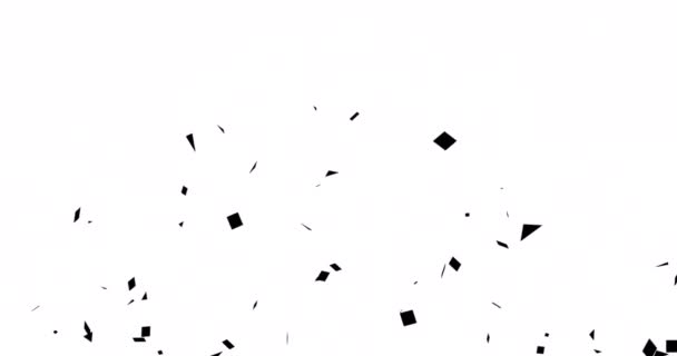 Animation Confettis Noirs Isolés Sur Fond Blanc Modèle Animation Colorée — Video