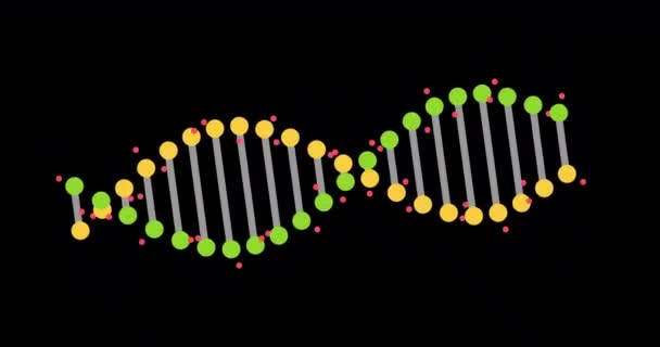 Animation Abstract Dna Fragment Seamless Loop Black Background Conceptual Design — Stockvideo