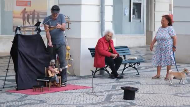 Aveiro Portugal 2023 Straatpoppenspelers Treden Met Poppenkast Pop Speelt Gitaar — Stockvideo