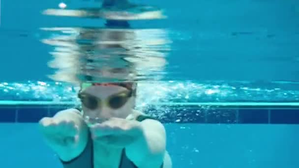 Meisje Vrouw Zwemt Onder Water Het Zwembad Een Video Onder — Stockvideo