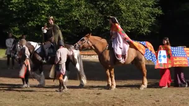 Santa Maria Feira Portugal 2023 Artistas Dançam Com Cavalos Num — Vídeo de Stock