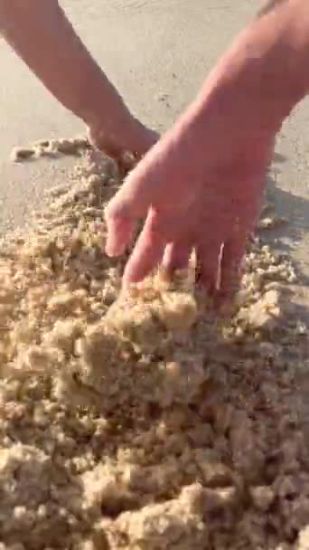 Widok Bliska Dziecka Bawiącego Się Piaskiem Plaży Ręce Ugniatać Sortować — Wideo stockowe