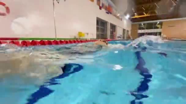 Een Vrouw Zwemt Haar Rug Het Zwembad Een Video Onder — Stockvideo
