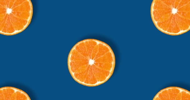 在经典蓝色背景下分离的新鲜柑橘片的水果图案视频 平躺在地上 尽收眼底 流行艺术视频设计 旗帜或社交媒体设计的最小风格 — 图库视频影像