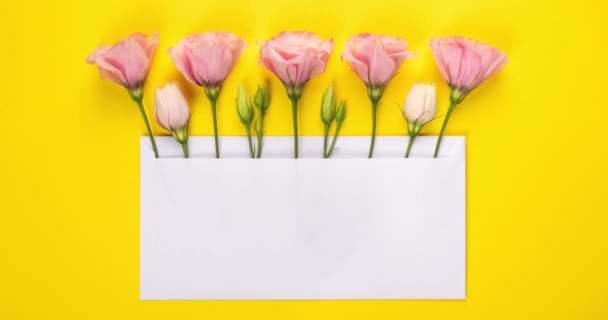 Blume Videobanner Mit Kopierraum Rosafarbene Eustoma Blumen Oder Wasserrosen Arrangement — Stockvideo