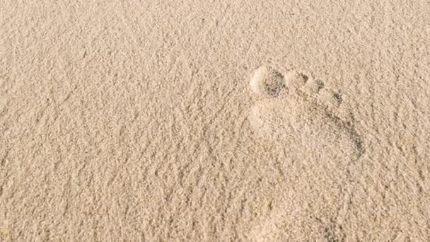 Сліди Піску Пляжі Камера Слідує Відбиткам Слідів Великій Піщаній Дюні Відеокліп