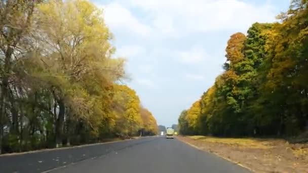 Kiev Ucraina Ottobre 2023 Video Strada Foresta Autunnale Auto Rapido — Video Stock