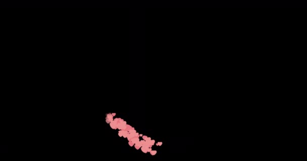 心框由珊瑚粉色的心脏动画制成 背景为黑色 情人节 情人节和结婚纪念日的心脏动画 图库视频片段