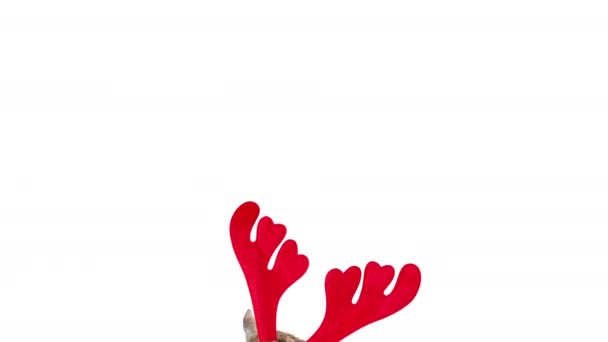 用白色背景隔离的圣诞驯鹿鹿角头带制作的带有巨大角的有趣红鹿肖像动画 鹿是新年的象征 图库视频片段