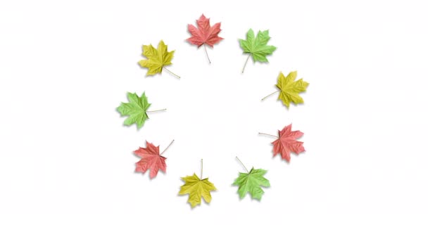 多彩的枫叶的旋转框架 枫叶在一个圆形的框架内排列 有复制空间 秋季框架 — 图库视频影像
