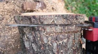 Elektrikli testereyle tahta kesilir. Tahtayı elektrikli testereyle yavaş çekimde kesmek. Testerede tam HD video.