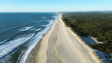 Atlantik Okyanusu 'nun güzel ve boş plajında insansız hava aracı manzarası yüksektir. Atlantik Okyanusu, büyük güzel dalgalar, terk edilmiş kum tepeleri ve sahil ormanı..
