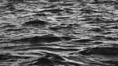 Siyah ve beyaz okyanus dalgalarındaki video yüzey boyunca dalgalanıyor, dramatik dokular ve zıtlıklar yaratıyor. Derinliği, yalnızlığı ve zamansız hareketi ifade eden karamsar bir deniz manzarası.