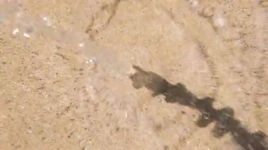 Güneş ışığıyla aydınlanmış beton bir yüzeye çarpan bir su püskürtüsünün soyut görüntüsü dinamik dalgalanmalar ve sıçramalar yaratır. Betonun dokusu ve suyun hareketi görsel bir bağlantı şekli oluşturuyor.