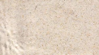 Sığ su, dalgalanmalar ve güneş yansımalarıyla kumlu zeminin üzerinden akar. Hassas desenleri ve ılık ışıkta yumuşak dalgaları barındıran doğal sualtı görüntüsü