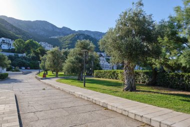 Yazın güneşli bir günde Karadağ 'da yeşil çimenli ve çalılı bir halk parkı. Sveti Stefan plajı yakınında kalacak bir yer