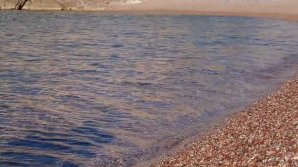 女性の裸の足は海に沿って行く 海辺のリゾートでの旅行と休暇の概念 — ストック動画
