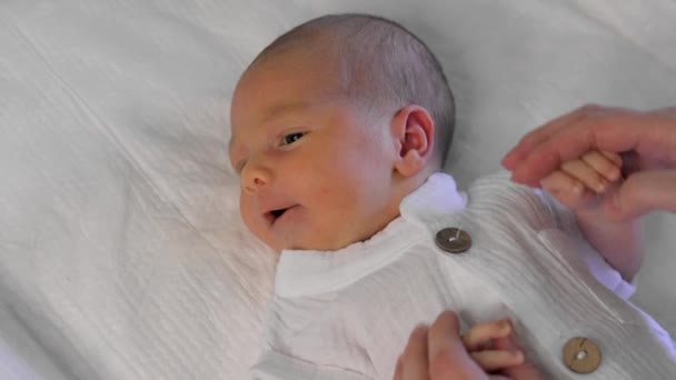 Close Portrait Cute Newborn Baby Young Woman Strokes Babys Cheek — Stock Video