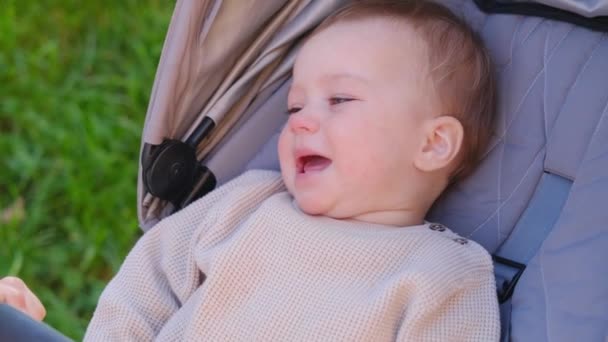 Uma Criança Pequena Fofa Impertinente Chora Enquanto Está Sentada Carrinho — Vídeo de Stock