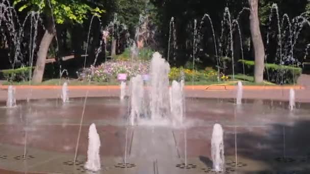 在阳光灿烂的夏日 公园里的一个夏日喷泉的视频 — 图库视频影像