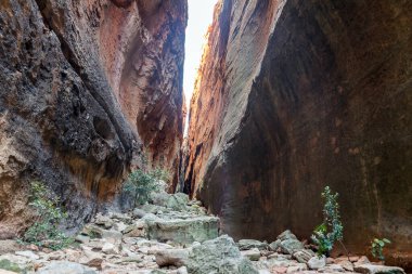Batı Cape Cederberg 'deki Sanndrif yakınlarında dar Wolfberg Çatalı' nın içinde.