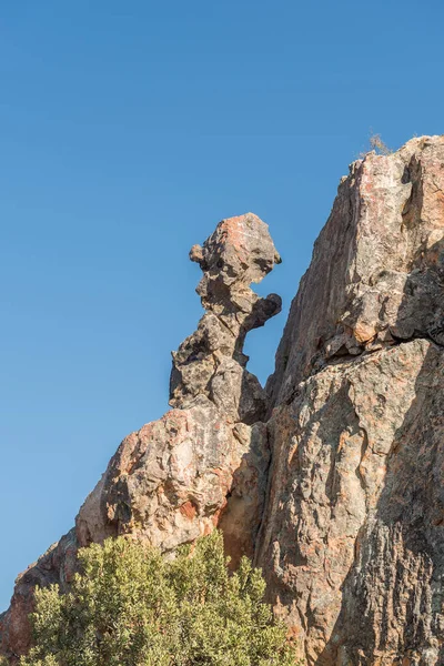 Delicate Rotsformatie Van Vrouw Het Wandelpad Aan Dwarsrivier West Kaap — Stockfoto